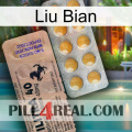 Liu Bian 41